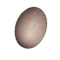 jajo skurczybyka